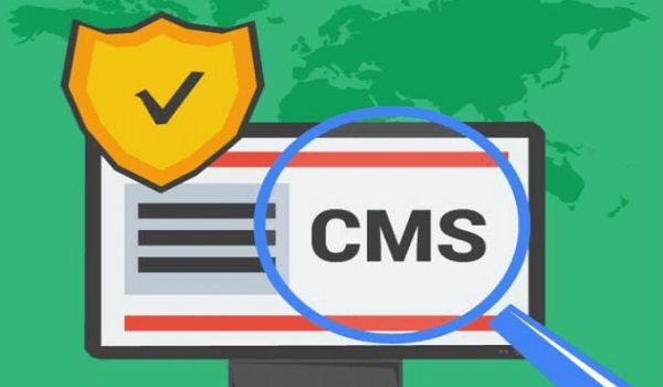 Bạn nên chọn nền tảng CMS có khả năng bảo mật cao.